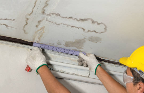 Reliable Basement Water Removal contractor in Canaan, NH by Water Damage Irwin